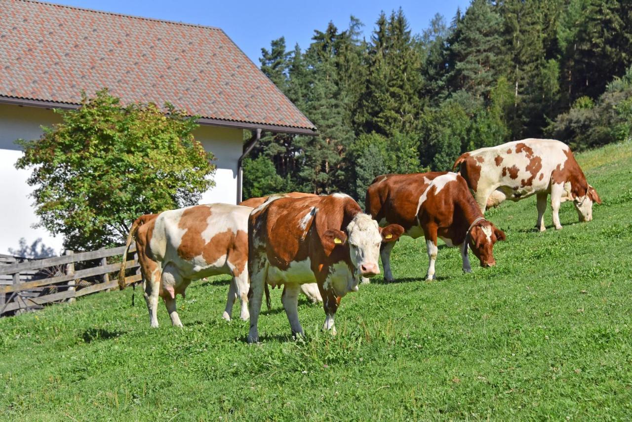 Vila Fuchshof Perca Exteriér fotografie
