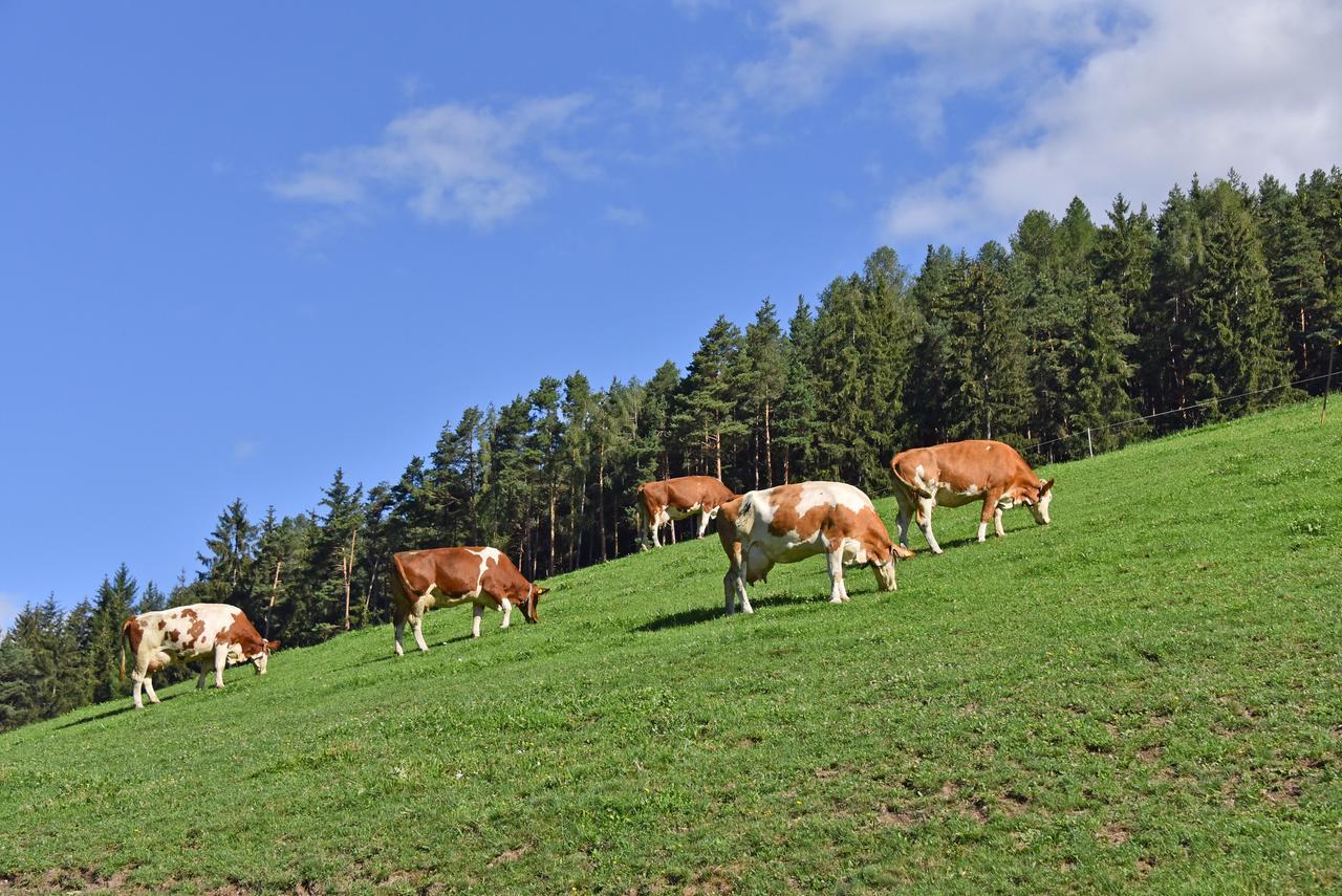 Vila Fuchshof Perca Exteriér fotografie